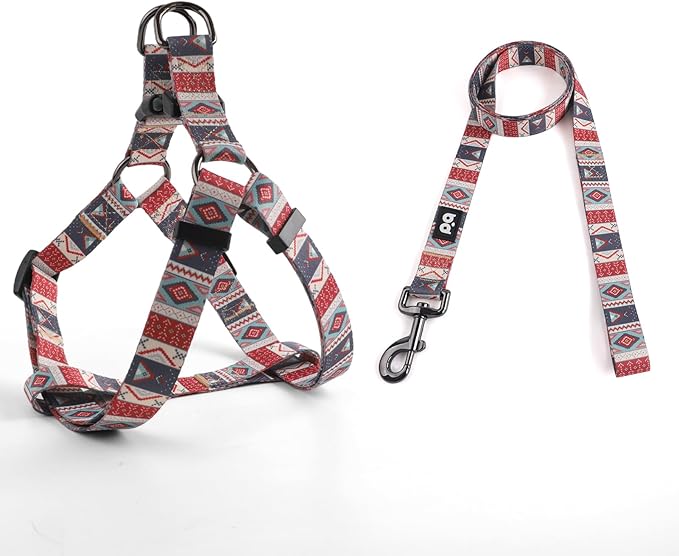 QQPETS Dog Harness Leash Set Adjustable Heavy Duty No Pull Halter Harnesses for Small Medium Large Breed Dogs Back Clip Anti-Twist Perfect for Walking
