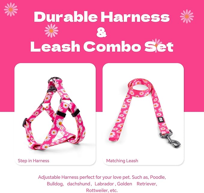 QQPETS Dog Harness Leash Set Adjustable Heavy Duty No Pull Halter Harnesses for Small Medium Large Breed Dogs Back Clip Anti-Twist Perfect for Walking (S(14"-20" Chest Girth), Daisy)