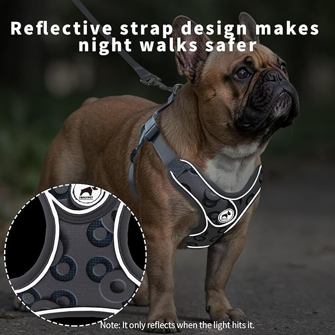 Dog Frenchie Harness with Leash Set, No Pull Adjustable Step in Vest Harness for Medium Dogs Walking and Running (M, Gray with Circle)