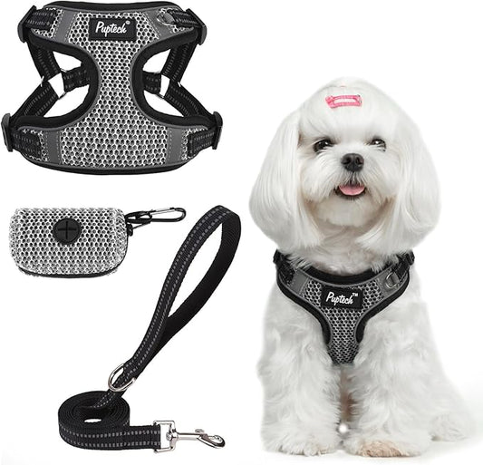 PUPTECK Dog Harness and Leash Set Small Sized, Step in No Pull Adjustable Puppy Cat Harness Reflective Pet Vest