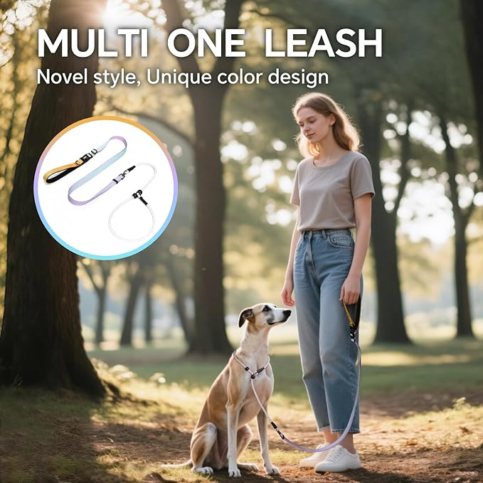 QQPETS Adjustable Slip Lead Dog Leash, Hands Free Waist Leash for Dog Walking, Reflective Training Lead with 360° Swivel Anti-Tangle, 4-7 ft Length for All Breeds