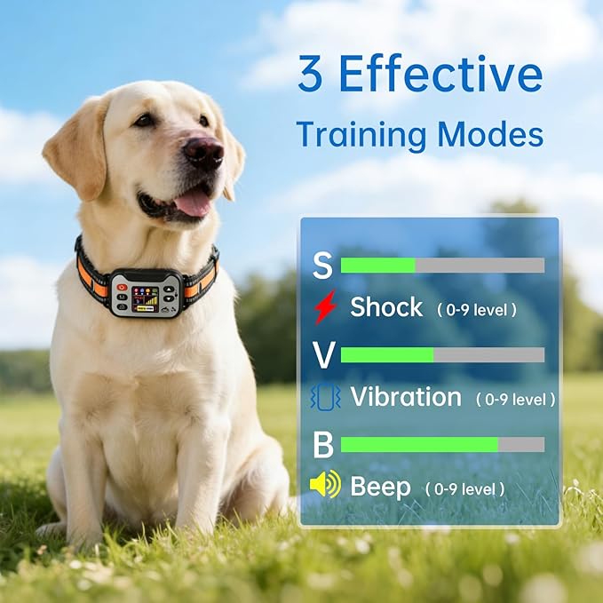 GPS Wireless Dog Fence, Electric Fence for Dog | Safe Zone Radius up to 66-6561ft, Rechargeable & Waterproof Dog Perimeter Collar, Outdoor-Specific Dog Containment System, Suitable for Dogs 15-120Lbs