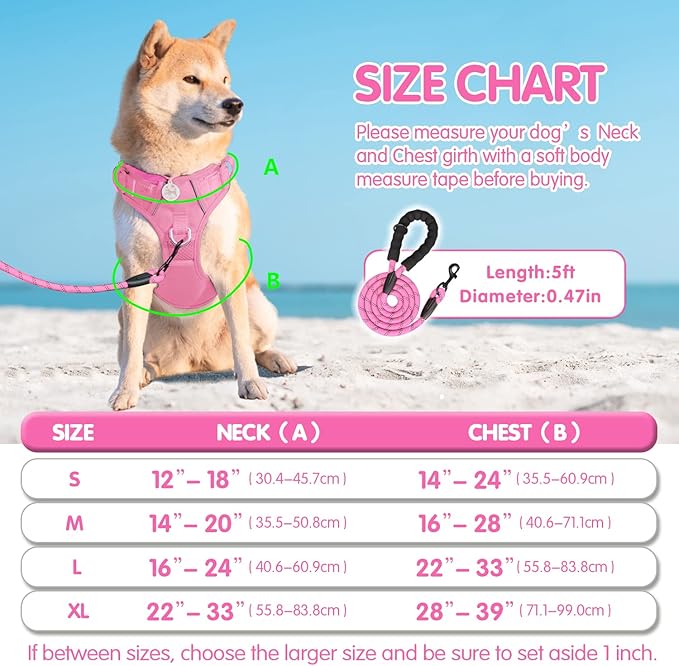 PoyPet No Pull Dog Harness and 5 Feet Leash Set, Release on Neck Reflective Adjustable Pet Vest, Front & Back 2 D-Ring and Soft Padded Pet Harness with Handle for Small to Large Dogs(Pink,L)