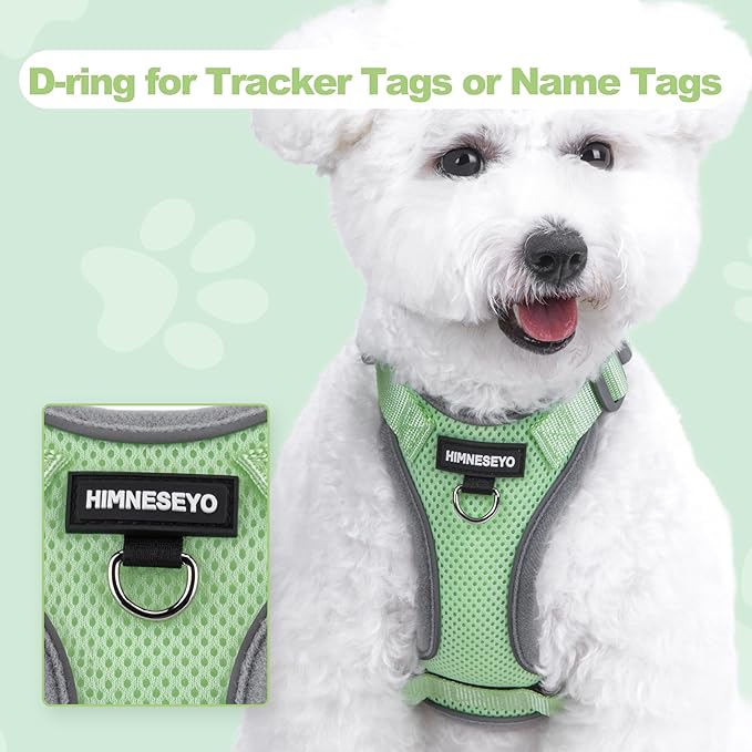 Small Dog Harness and Leash Set, No Pull Adjustable Pet Harness for Small Dogs, Breathable Mesh Rflective Dog Vest Harness (Green, XS)