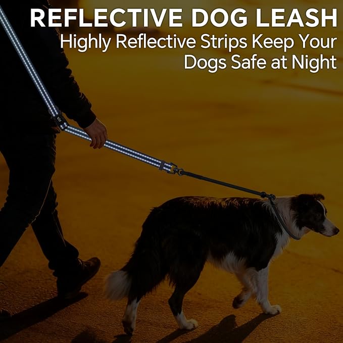 QQPETS Adjustable Slip Lead Dog Leash, Hands Free Waist Leash for Dog Walking, Reflective Training Lead with 360° Swivel Anti-Tangle, 4-7 ft Length for All Breeds