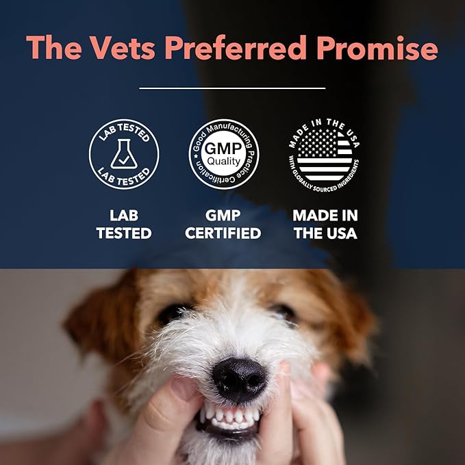 Vets Preferred Dog Breath Freshener & Water Additive for Dental Care – Fights Bad Breath, Removes Tartar & Plaque – Dog Mouthwash for Healthy Teeth & Gums, Gingivitis Support – Mint Flavor
