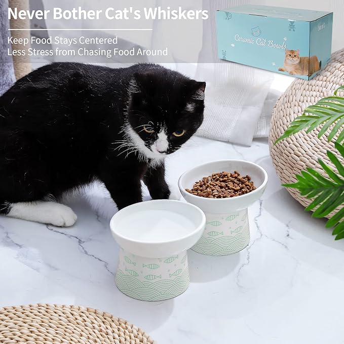 OMAYKEY Ceramic Raised Cat Bowls, Elevated Tilted Cat Food and Water Bowl Set, Porcelain Stress Free Pet Feeder Dish for Cats and Small Dogs, Dishwasher and Microwave Safe, Green, Set of 2