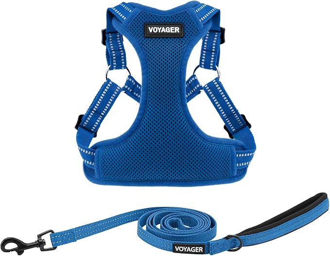 Best Pet Supplies Voyager Mesh Dog Breathable Harness Reflective Stitching, All Weather Adjustable for Walking Training, or Running - Heavy Duty & Durable, Harness Leash Set (Royal Blue), M