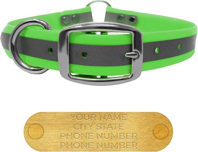 Regal Dog Products Large Green Reflective Dog Collar with Custom Engraved Name Plate and Heavy Duty Center Ring | Waterproof Biothane Personalized Dog Collars - Other Sizes for Small & Medium Dogs