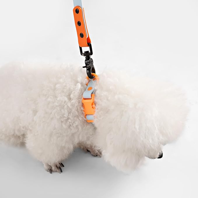 WLK1004D-5SET Luna Small 8FT Adjustable 6-in-1 Waterproof Hands-Free Leash and Collar with LED Flashlight, Bag Dispenser, and Poop Bag Holder, Fishbowl