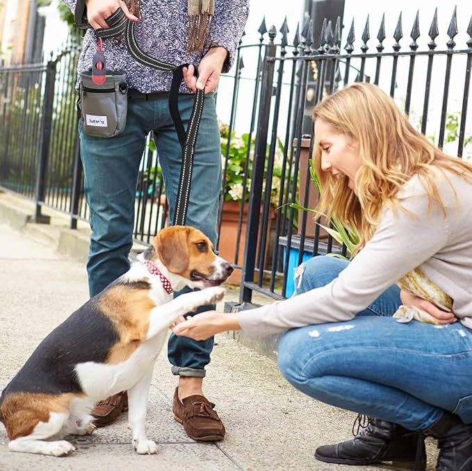 JSXD Heavy Duty Double Handle Dog Leash - 5 FT with Comfortable Padded and Reflective Rope, Suitable for Small to Large Dogs (Wide-Black)