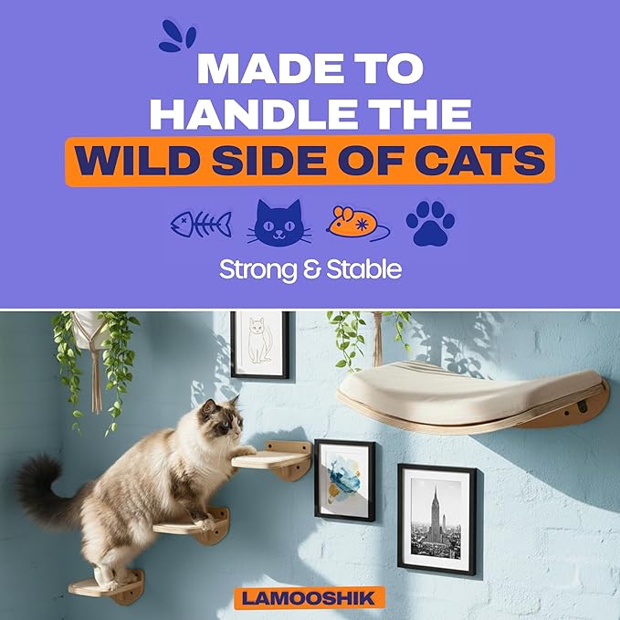 Cat Wall Shelves, Natural Finish – Floating Cat Furniture with Curved Bed & Steps | Modern Minimalist Wood Climbing Shelves Set of 4 for Indoor Cats, Sturdy Wall-Mounted Design