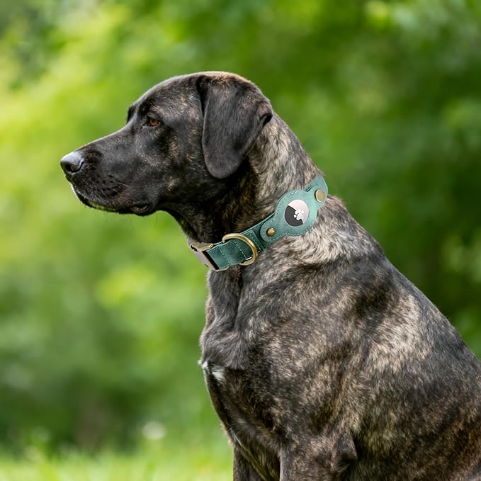 AirTag Dog Collar for Small Dogs Puppy - Soft Leather Dog Collar with Apple AirTag Holder and Metal Buckle - Smart Tracker GPS Apple Air Tag Pet Collars(Green, S)