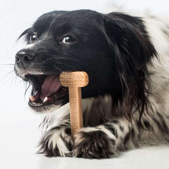 Bullibone Nylon Dog Chew Toy for Aggressive Chewers - Dental Hygiene Bone with Peanut Butter Flavor, Durable Tough Chew Toys for Small Dogs, Indestructible Dog Bone - Single