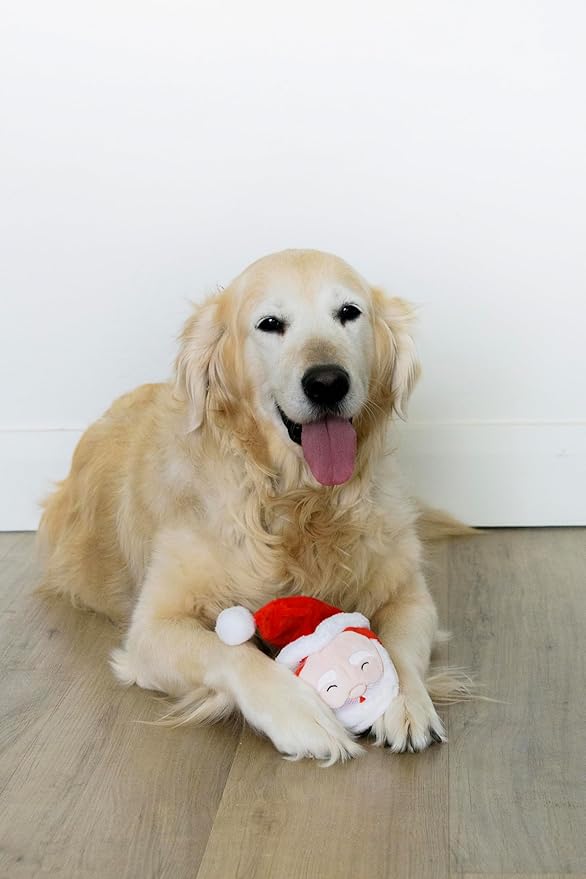 Flourish Pets 2 in 1 Christmas Multi-Layer Chew Toy for Active Dogs | Non-Toxic BPA Free Double Stitched Soft Fabric and Long-Lasting Dog Plush Toys (Christmas Santa 3.5")
