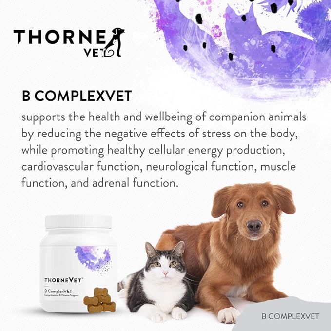 ThorneVET B ComplexVET – Vitamin B Complex Support for Dogs & Cats - 60 Soft Chews