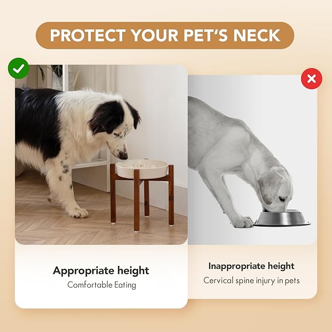 Ceramic 1.6 Cup Raised Slow Feeder Dog Bowl Set, Elevated Acacia Wood Stand for Medium and Large Dogs, 8.2inch Slow Pet Dish for Fast Eaters(1 Bowl & Stand,Reactived Glaze -White)