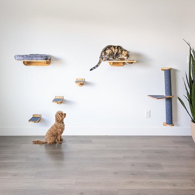 Cat Wall Shelves – Cat Wall Climber with Scratching Post, Removable Bed, Climbing Steps, and Feeding Terrace with Glass Bowls, Waterproof Rubberwood Pet Furniture