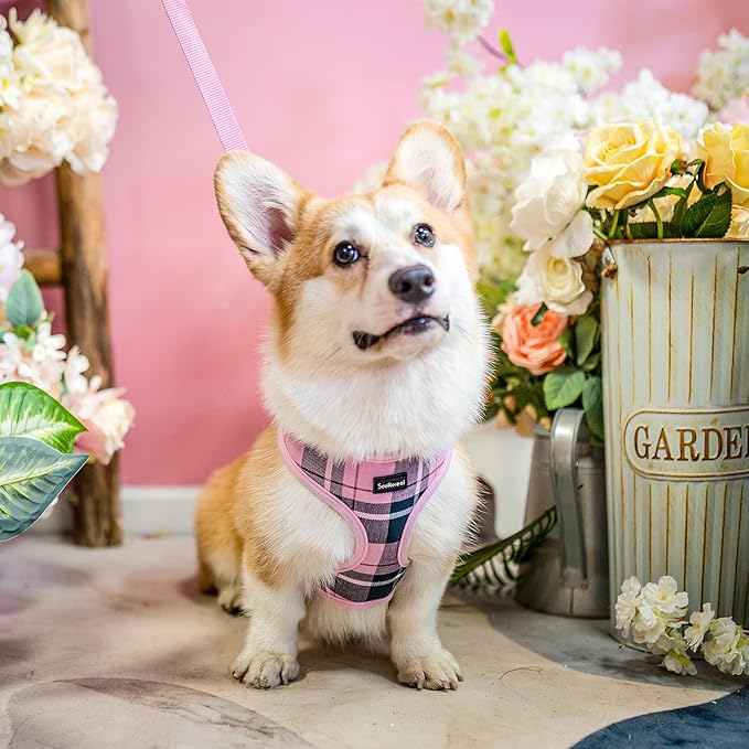 SCENEREAL Puppy Dog Harness with Leash Set for Small Medium Sized Dogs, Soft Mesh Step in Pet Harnesses and Leash, No Chock Plaid Adjustable No Pull Vest for Dogs Cats, Chihuahua,Bulldog (Pink M)