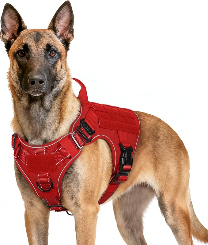 rabbitgoo Tactical Dog Harness for Large Dogs, No Pull Upgraded Reflective Heavy Duty Molle Vest with Handle, Adjustable Military Service Dog Vest for Walking Hiking Training, Red, L