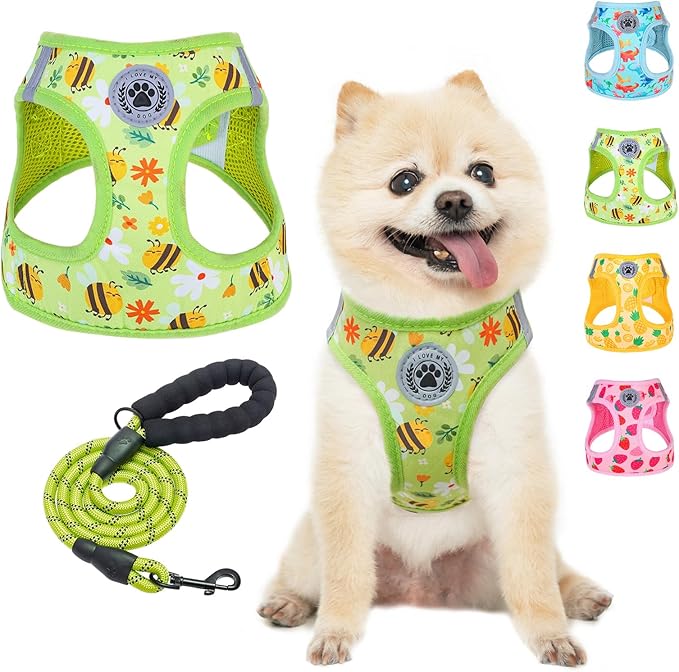 BEAUTYZOO Step in Dog Harness and Leash Set,Reflective Dog Harness No Pull No Choke Puppy Harness for Small Medium Large Dogs Cats,Soft Padded Mesh Vest Harnesses for Girl and Boy Pets, Bee S