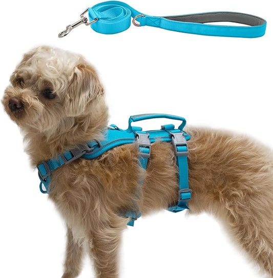 Escape Proof Dog Harness and Leash Set, Lightweight Dog Harness with Lift and Assist Handle, No Pull Reflective Pet Vest for Small Medium Dogs, Ideal for Puppy Walking and Training (Blue, S)