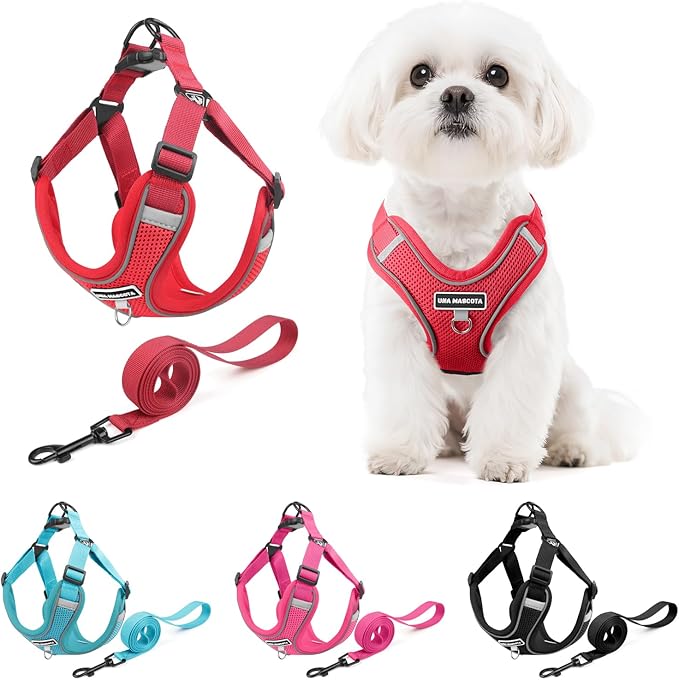 Dog Harness and Leash Set, Adjustable Triangle, Reflective Adjustable Puppy Vest, No Pull Soft Mesh Harness for Small, Medium Dogs, Cats (Red, XL)