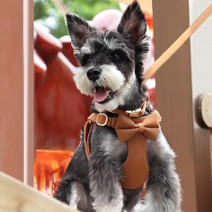 Beirui Adorable Small Dog Harness Collar Leash Set,Cute Puppy Harness with 3 Bows for XS Dogs,Yorkie,Adjustable Step-in Vest for Walking,Parties&Holiday Outfits(Brown,XS)