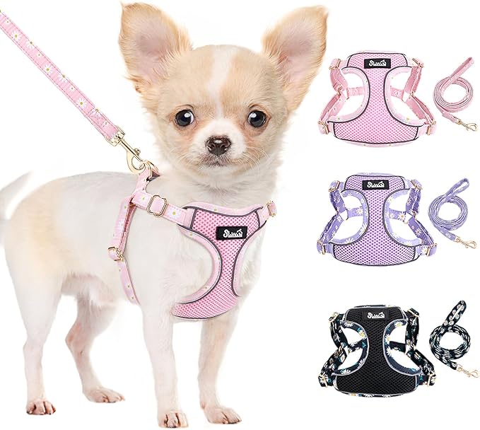 Lukovee No Pull Puppy Harness and Leash Set - Soft Lightweight Escape Proof Puppy Vest Harness, Breathable Adjustable Pet Harness with Dog Leash for Small Dogs (Pink, XXS)