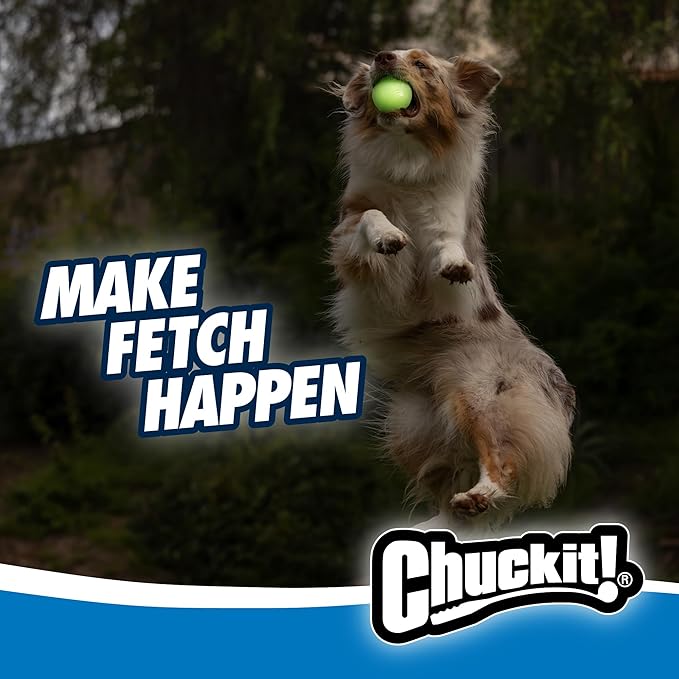 Chuckit! Glow in the Dark Bouncy Ball for Dogs, Chuckit Dog Toy, Max Glow Balls - Large, 3 Inch, Pack of 1