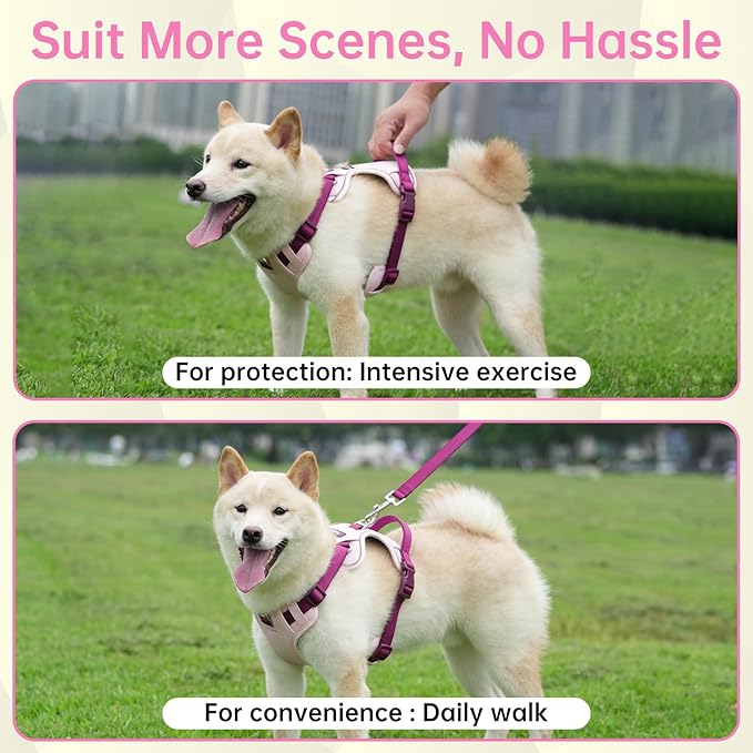 No Pull Dog Harness Leash and Collar Set, Soft Adjustable Dogs Vest Reflective and Comfortable Handle Pink Large
