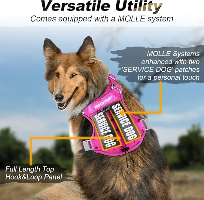 BARKBAY Service Dog Vest Tactical Dog Harness Medium Large Sized Dog Tags Personalized No Pull Adjustable Harness Reflective K9 Working Training Easy Control Military Molle System(Pink,XL)