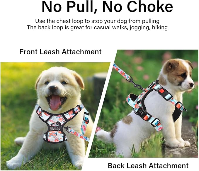 Petmolico No Pull Dog Harness Set with Leash Attachment Easy Control Handle Reflective Harness Vest Small Breed, Puppy Vest and Leash Set with Poop Bag Holder, Small - Green Flowers