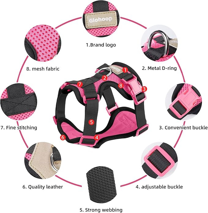 Small Dog Harness and Leash Set, Breathable Mesh Puppy Harness, Adjustable Dog Harness for Small Medium Large Dogs, No-Pull Pet Harness for Daily Walking (Hotpink, Medium)