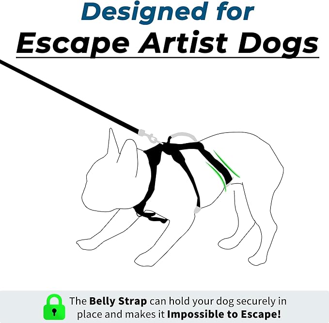 Escape Proof Dog Harness and Leash Set, Lightweight Dog Harness with Lift and Assist Handle, No Pull Reflective Pet Vest for Small Medium Dogs, Ideal for Puppy Walking and Training (Black, M)