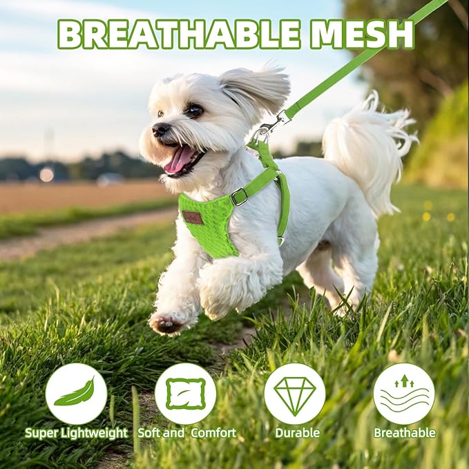 PUPTECK Dog Harness and Leash Set Small Sized, Step-in Cute Puppy Harness, Soft Lightweight Padded Vest, Escape Proof No Pull Pet Harnesses Easy for Walking, Green, M