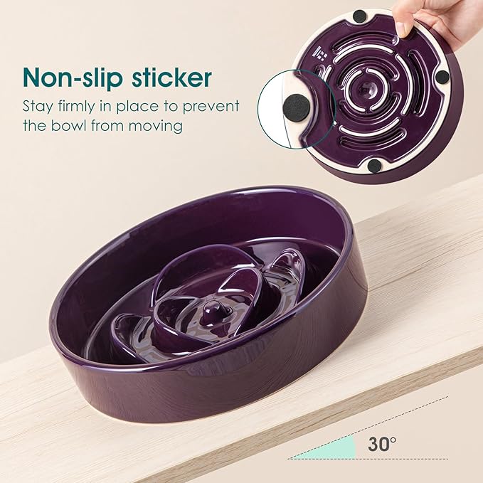vancasso Slow Feeder Dog Bowl, 0.6 Cups Ceramic Dog Food Dish for Fast Eaters Small Breed, Puzzle Bowl for Small Dogs and Cats, Dark Purple