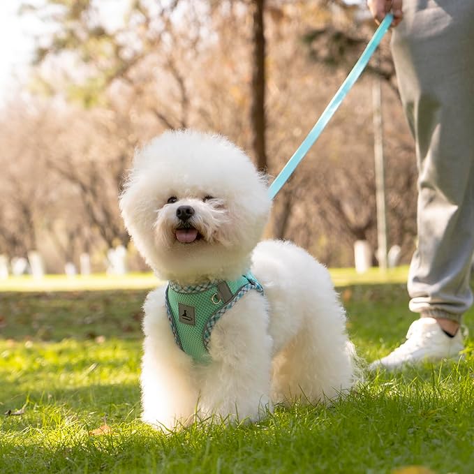 Dog Harness & Leash Set - No Pull Soft Breathable Small Dog Harness, Adjustable Reflective Step-in Vest for Puppy, Kitten, Cats