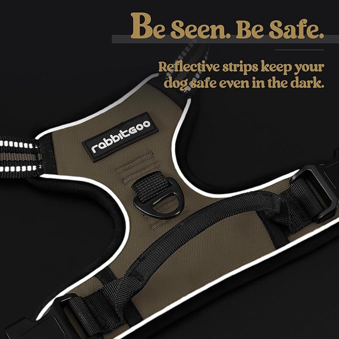 rabbitgoo Dog Harness No Pull with 2 Leash Clips, Adjustable Soft Padded, Reflective Oxford No Choke Pet Vest with Easy Control Handle for Small Dogs, Beige, S