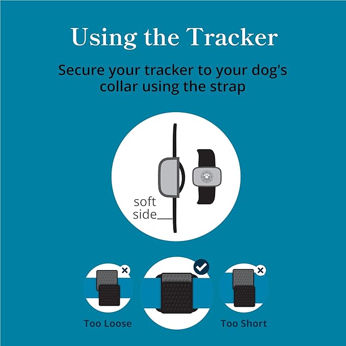 Petivity Smart GPS and Activity Dog Tracker
