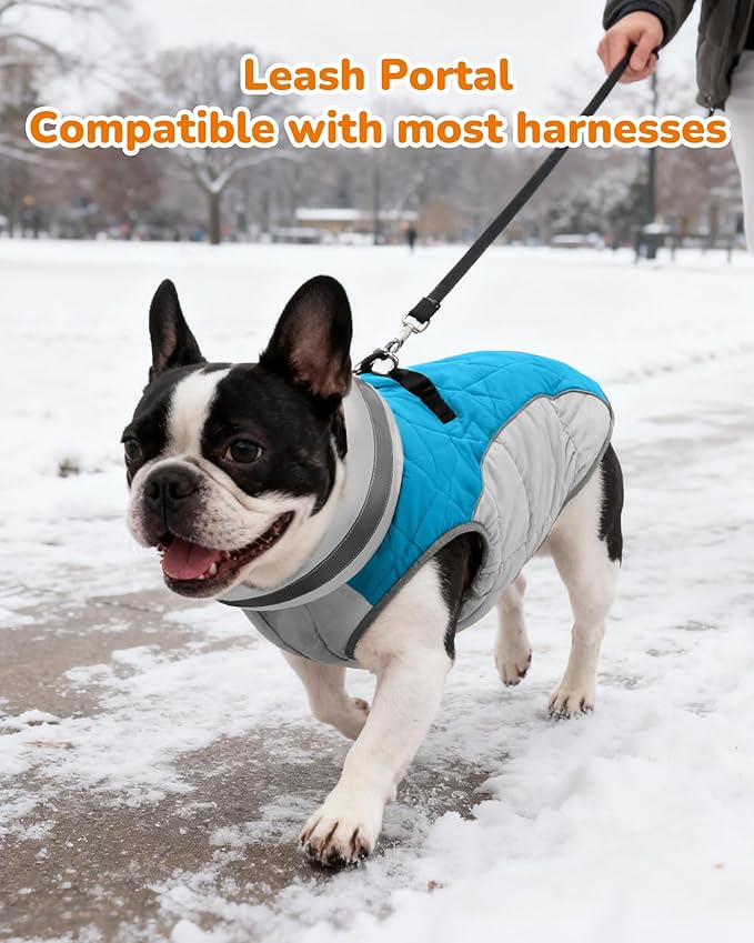 Dog Coat for Large Dogs, Adjustable Dog Jackets for Cold Weather, Reflective Winter Coat with Built-in Harness, Snowsuit Fits Dogs 22-47 lbs and Up, Size L Blue