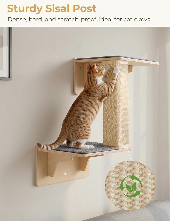 Pecute Double Cat Shelves with Scratching Post for Wall and Window with Solid Wood, Strong Suction Cup, Washable Cover Mat, Cats Perch Bed for Birds Watching Inside Indoor Cat Hammock Bed