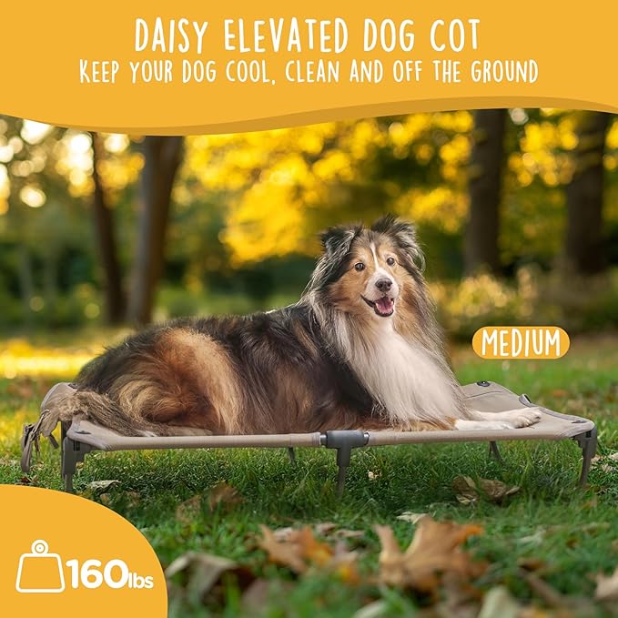 Daisy Cot, Medium Foldable Elevated Dog Bed, Portable Raised Outdoor Folding Dog Cot, Cooling, Chew Proof, Waterproof, Heavy Duty Up to 160 lbs for Camping/Home, Brown, 32"x 19"x6"