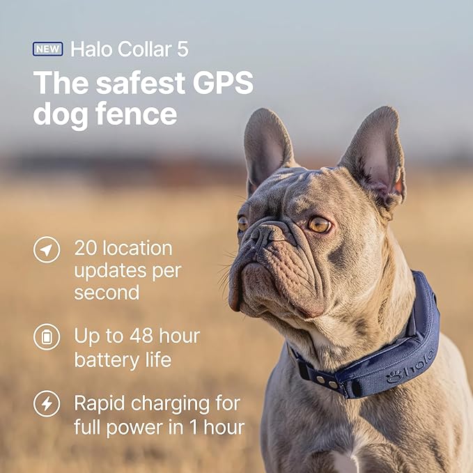 Halo Collar 5, New Wireless Dog Fence & GPS Dog Collar, Subscription Required, Waterproof, Midnight, One Size