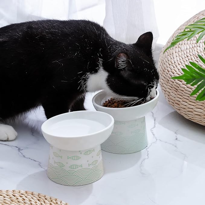 OMAYKEY Ceramic Raised Cat Bowls, Elevated Tilted Cat Food and Water Bowl Set, Porcelain Stress Free Pet Feeder Dish for Cats and Small Dogs, Dishwasher and Microwave Safe, Green, Set of 2