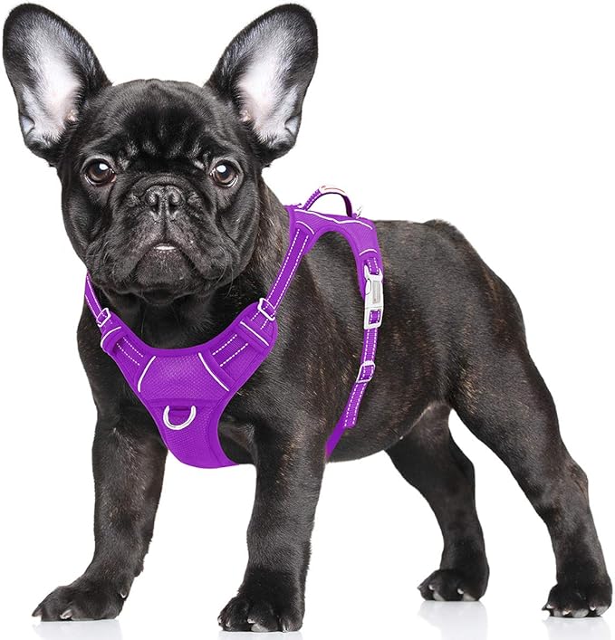BARKBAY No Pull Dog Harness Large Reflective Dog Harness with Front Clip and Easy Control Handle for Walking Training Running with ID tag Pocket(Purple,S)