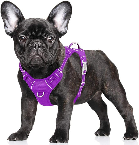 BARKBAY No Pull Dog Harness Large Reflective Dog Harness with Front Clip and Easy Control Handle for Walking Training Running with ID tag Pocket(Purple,S)