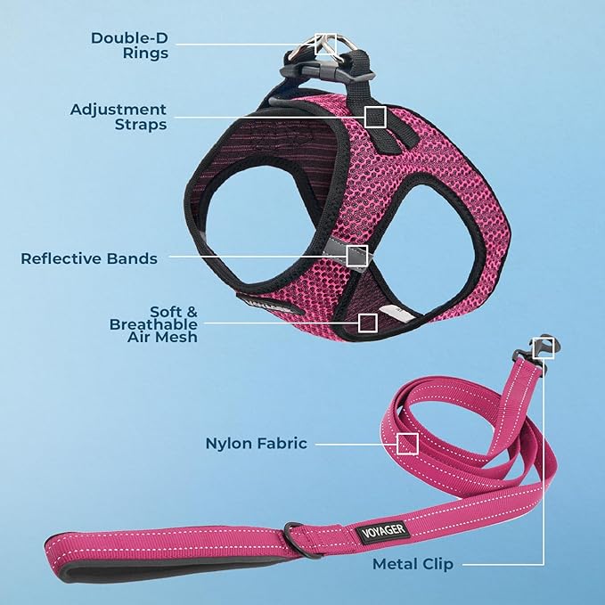 Voyager Step-in Air All Weather Mesh Harness and Reflective Dog 5 ft Leash Combo with Neoprene Handle, for Small, Medium and Large Breed Puppies by Best Pet Supplies - Fuchsia (Leash Bundle), L