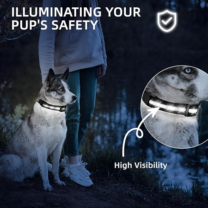 LED Dog Collar for Small Dogs Cats - Fully Waterproof & Adjustable Glow Collar - USB-C Rechargeable for Night Walking, Safety - Flashing Lighted Collar for Dogs(White,S)
