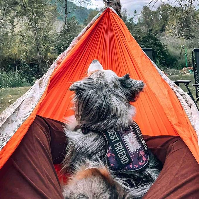 Auroth Tactical Dog Harness for Small Medium Large Dogs No Pull Adjustable Pet Harness Reflective K9 Working Training Easy Control Pet Vest Military Service Dog Harnesses (L, Purple Camo)